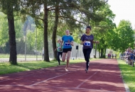 DSB_2018_0310