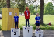 DSB_2018_0334