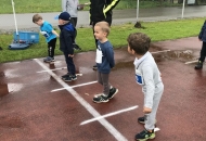 schnBaumer2019 (6)