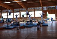 Foto36